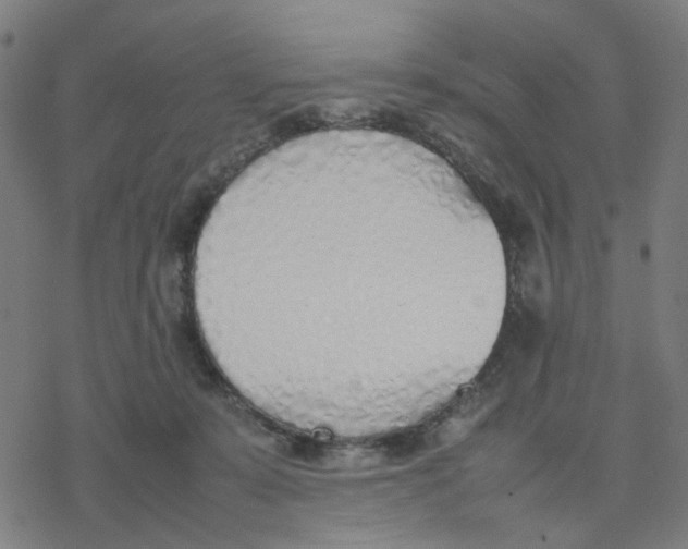 X0000077280319200611101324