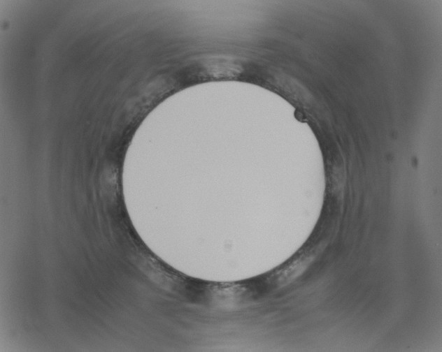 X0000077280321200611101324