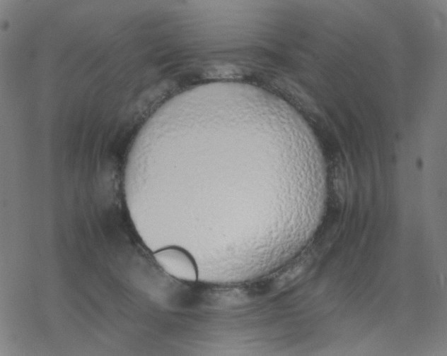 X0000077280322200611101324