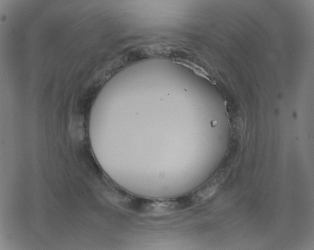 X0000077280323200611101324