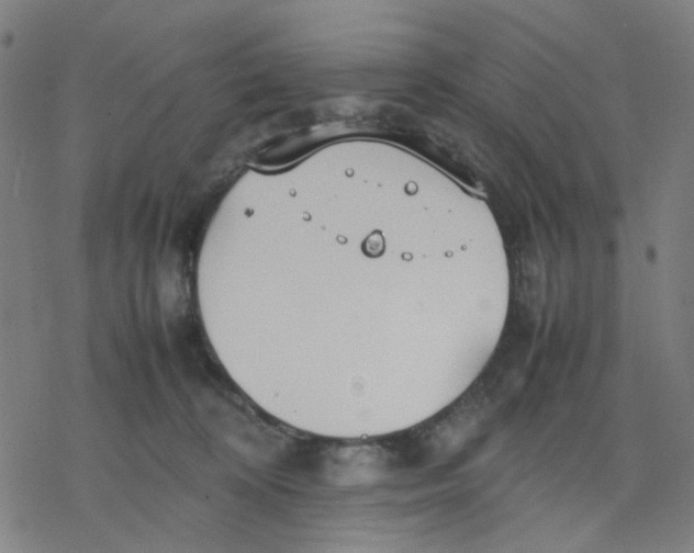 X0000077280324200611101324