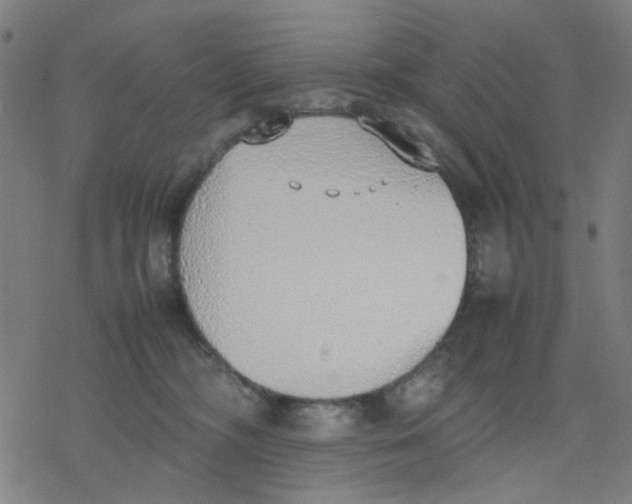 X0000077280326200611101324