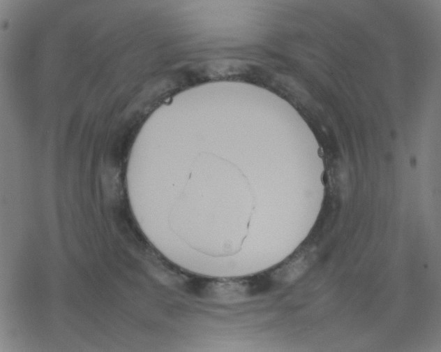 X0000077280327200611101324