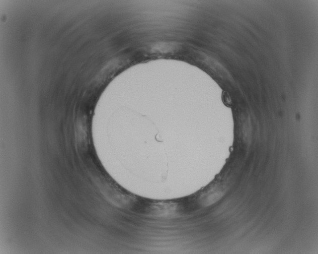 X0000077280328200611101324