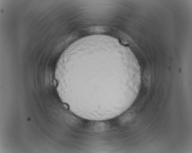 X0000077280330200611101324