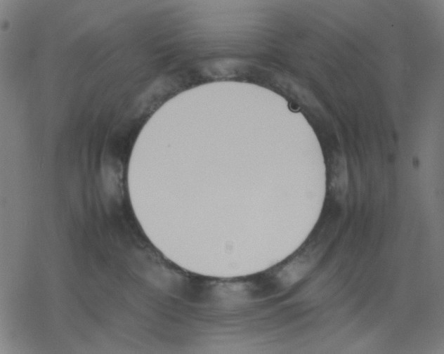 X0000077280332200611101324