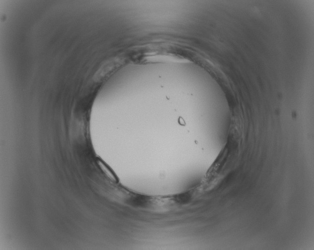 X0000077280333200611101324