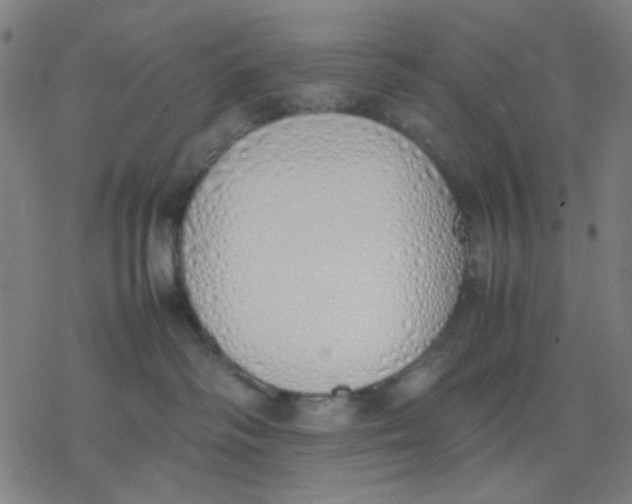 X0000077280334200611101324