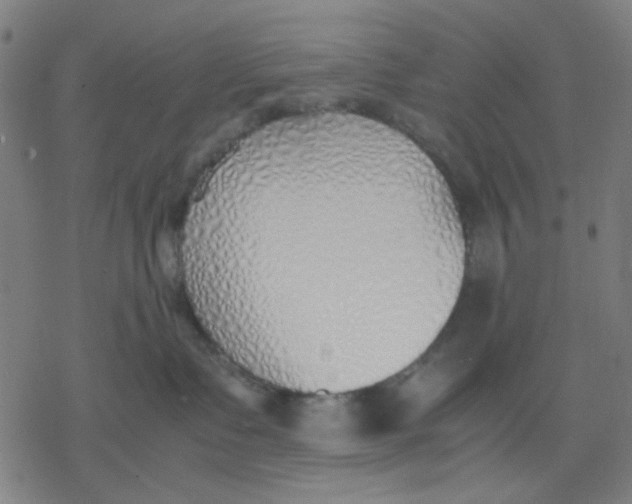 X0000077280335200611101324