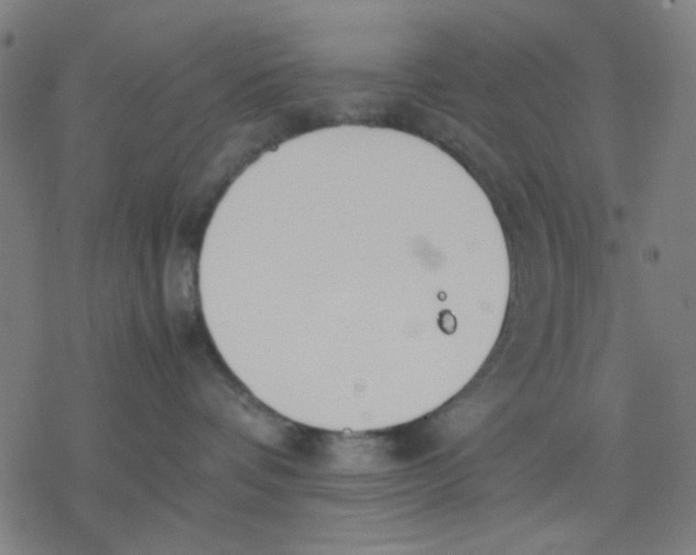 X0000077280336200611101324