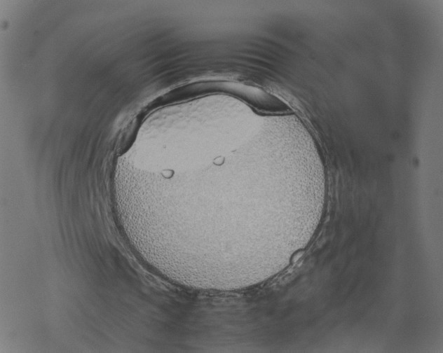 X0000077280337200611101323