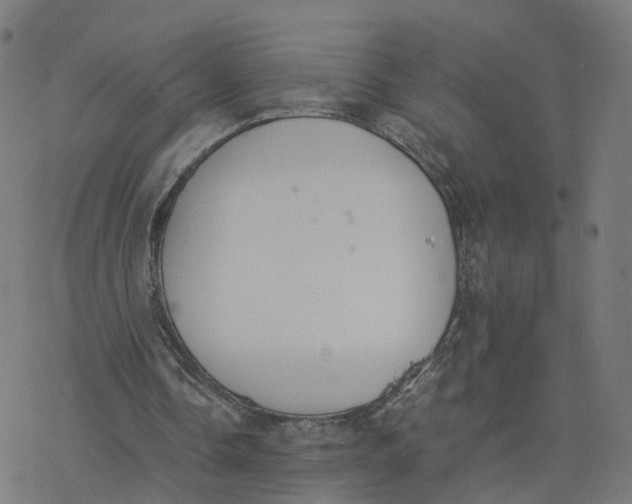 X0000077280338200611101323