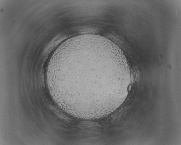 X0000077280339200611101323