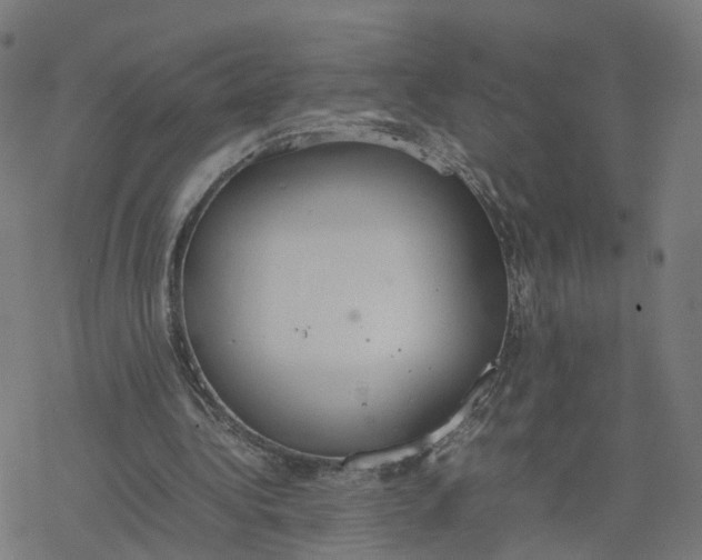 X0000077280340200611101323