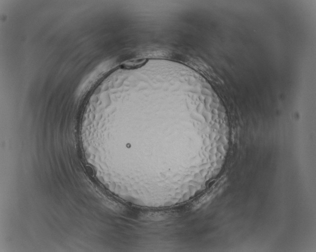 X0000077280341200611101323