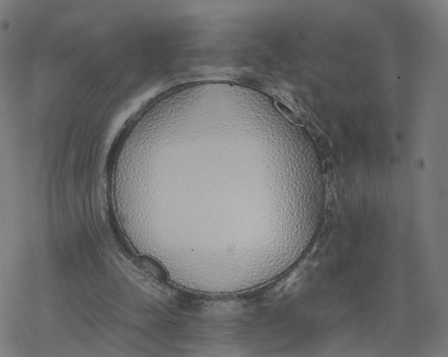 X0000077280342200611101323