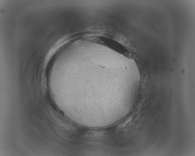 X0000077280343200611101323