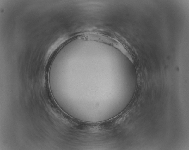 X0000077280344200611101323