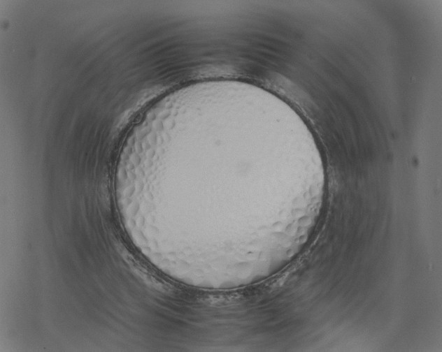 X0000077280345200611101323