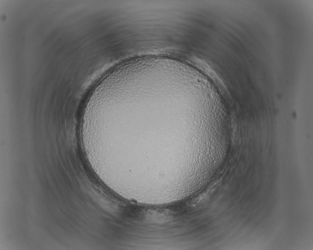 X0000077280346200611101323