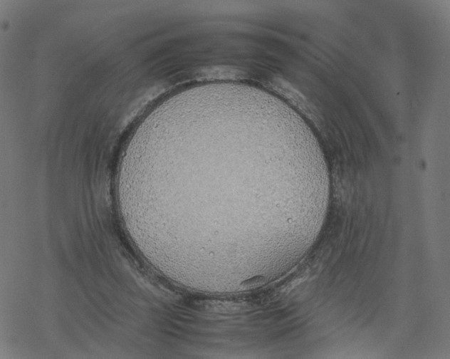 X0000077280347200611101323