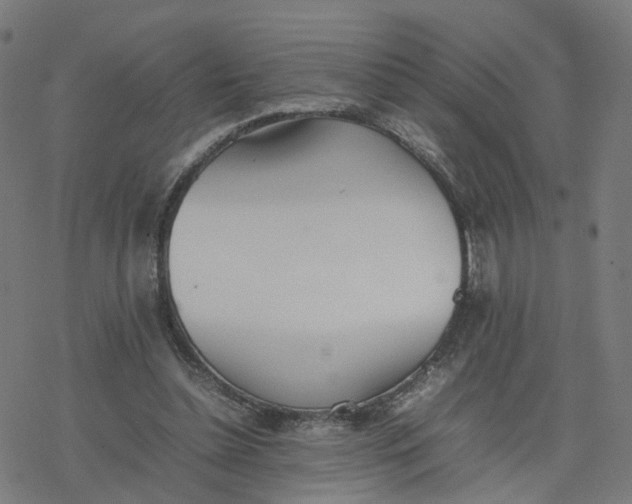 X0000077280348200611101323