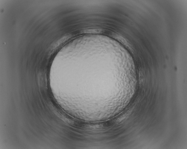 X0000077280349200611101323