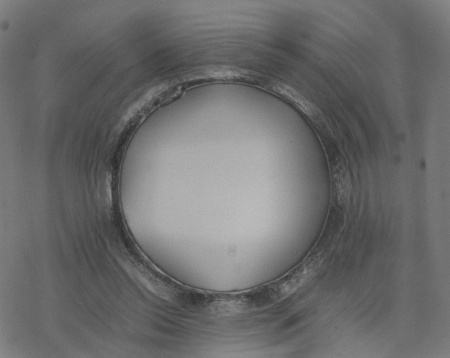 X0000077280350200611101323