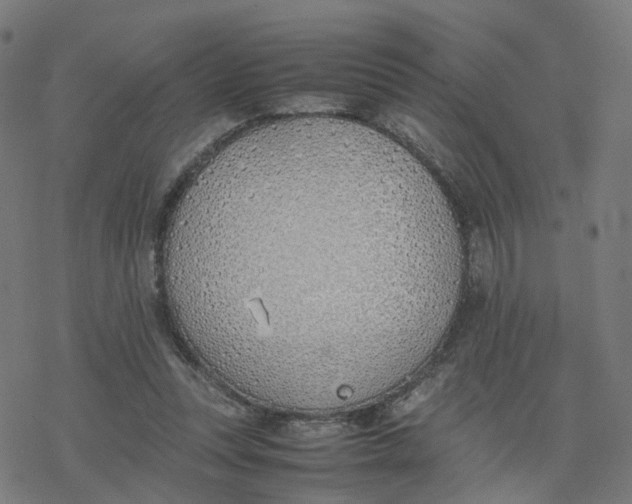 X0000077280351200611101323