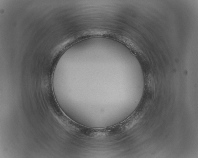 X0000077280352200611101323