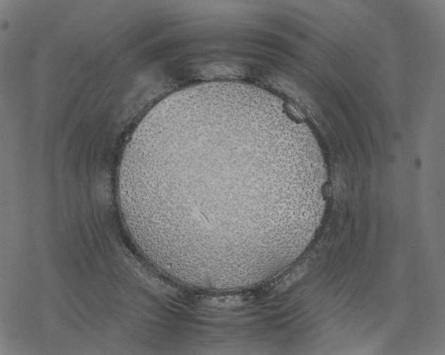 X0000077280353200611101323