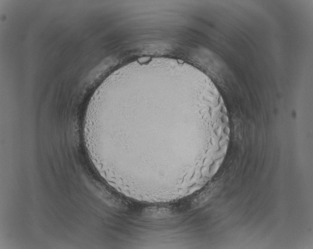 X0000077280354200611101323