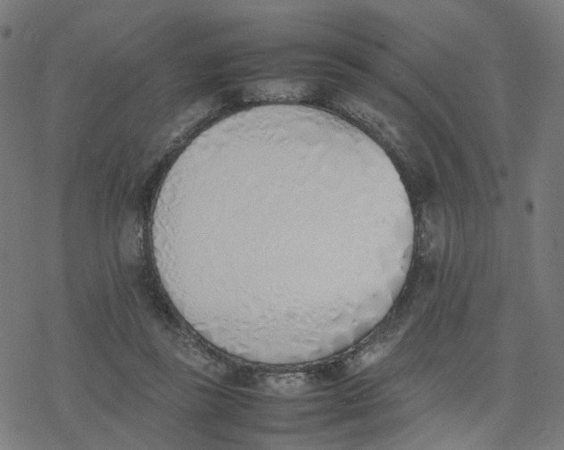 X0000077280355200611101323