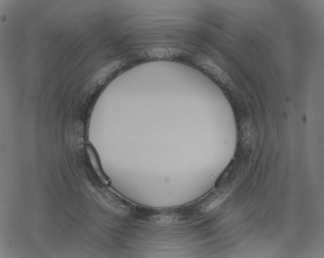 X0000077280356200611101323