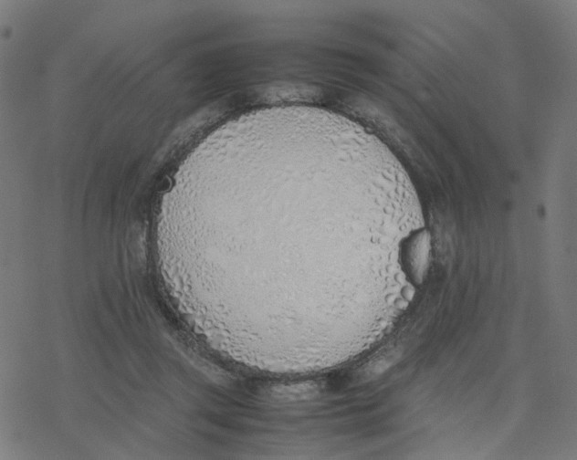 X0000077280357200611101323