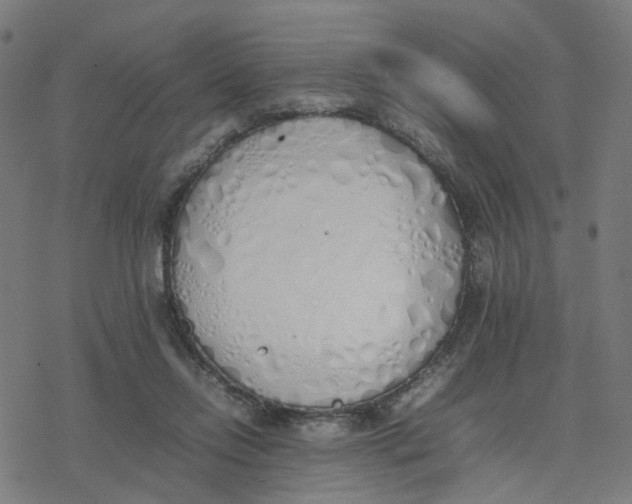 X0000077280358200611101323