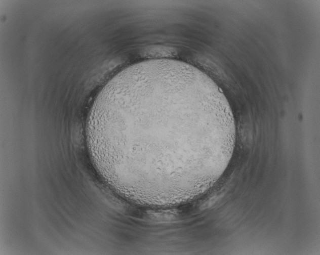 X0000077280359200611101323