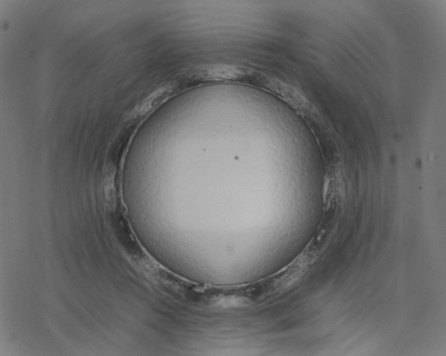 X0000077280360200611101323