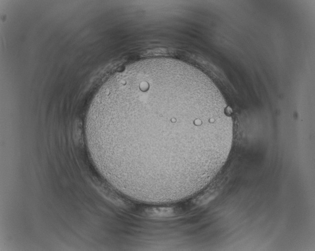 X0000077280361200611101324