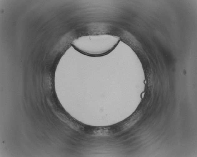 X0000077280362200611101324