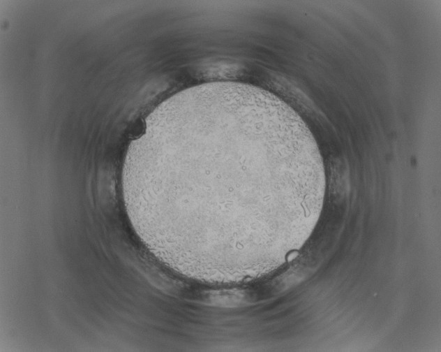 X0000077280363200611101324