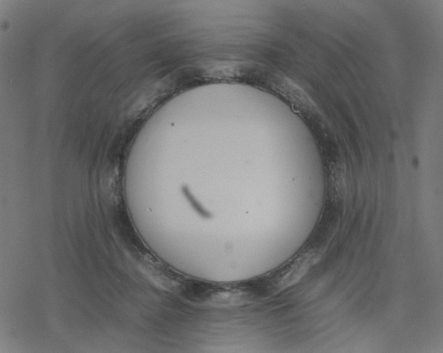 X0000077280364200611101324