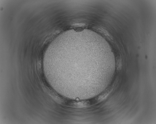 X0000077280365200611101324