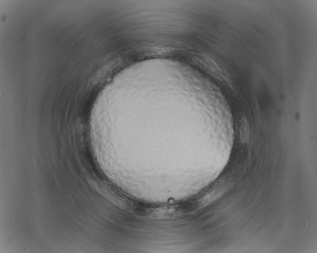 X0000077280366200611101324