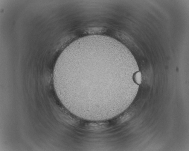 X0000077280367200611101324