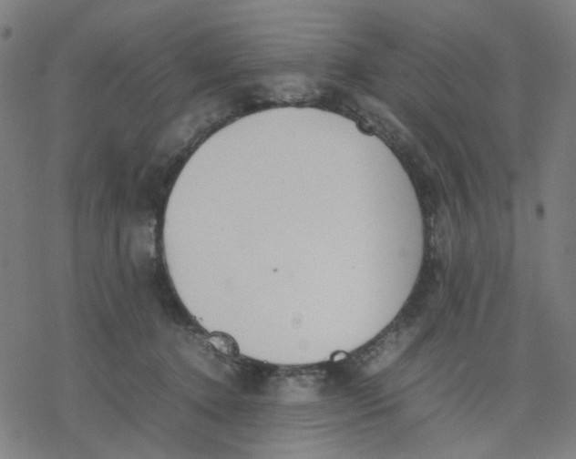 X0000077280368200611101324