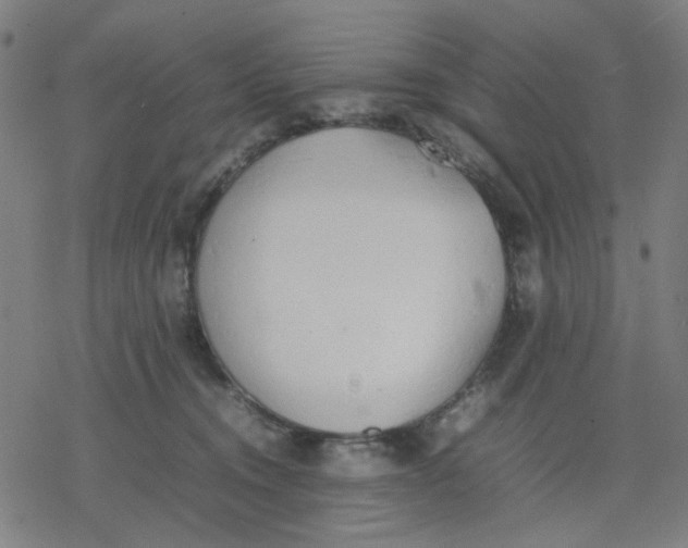 X0000077280372200611101324