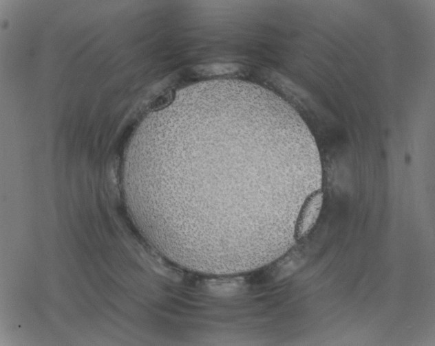 X0000077280373200611101324