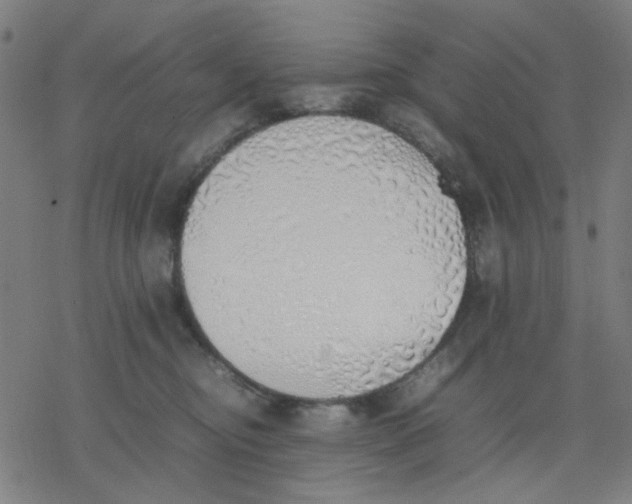 X0000077280374200611101324