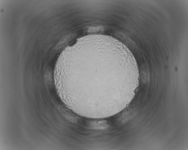 X0000077280375200611101324